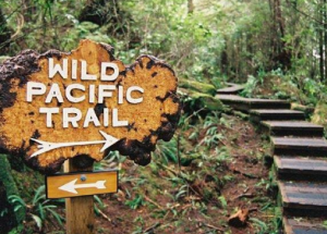 wildpacifictrail